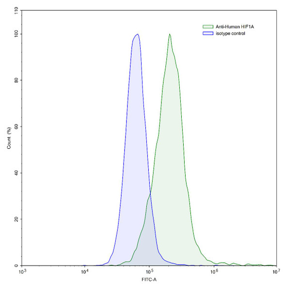 Anti-Human HIF1A Recombinant Monoclonal Antibody (SAA0814) - flow