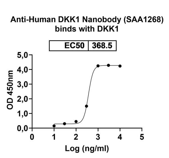 Anti-Human DKK1 Recombinant Nanobody (SAA1268) - Bioactivity-binding