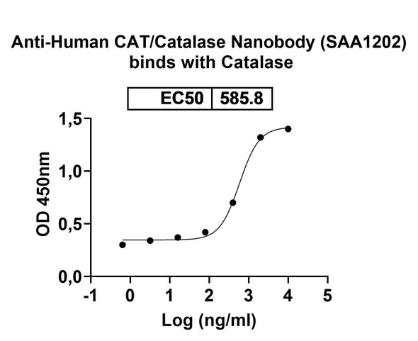 Anti-Human CAT/Catalase Recombinant Nanobody (SAA1202) - Bioactivity-binding