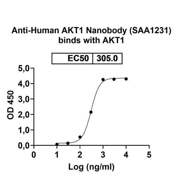Anti-Human AKT1 Recombinant Nanobody (SAA1231) - Bioactivity-binding
