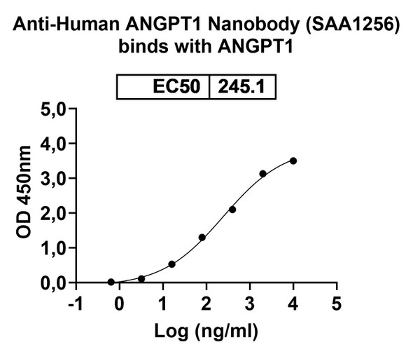 Anti-Human ANGPT1 Recombinant Nanobody (SAA1256) - Bioactivity-binding