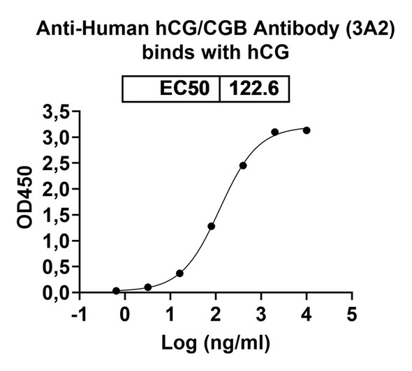 Anti-Human hCG/CGB Recombinant Monoclonal Antibody (3A2) - bioactivity-binding
