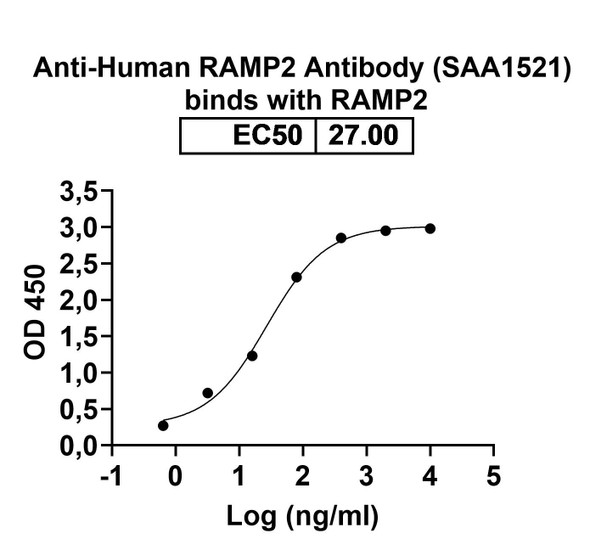 Anti-Human RAMP2 Recombinant Monoclonal Antibody (SAA1521) - Bioactivity-binding