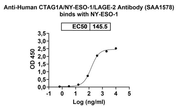 Anti-Human CTAG1A/NY-ESO-1/LAGE-2 Recombinant Monoclonal Antibody (SAA1578) - Bioactivity-binding
