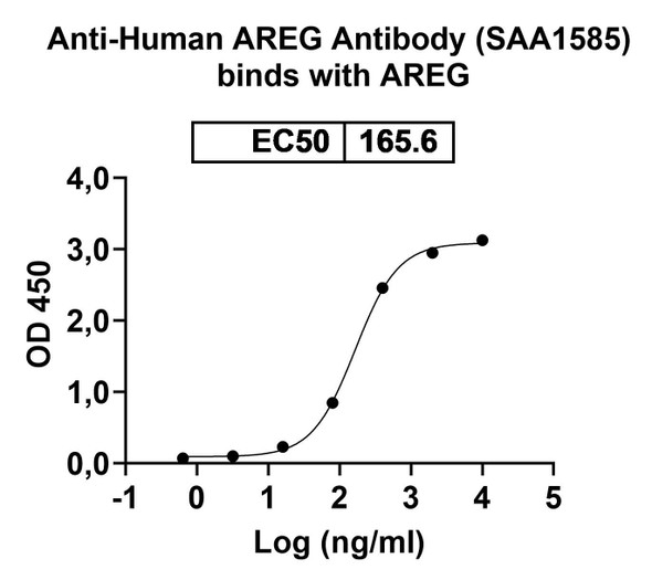 Anti-Human AREG Recombinant Monoclonal Antibody (SAA1585) - Bioactivity-binding