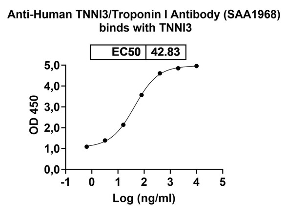Anti-Human TNNI3/Troponin I Recombinant Monoclonal Antibody (SAA1968) - Bioactivity-binding