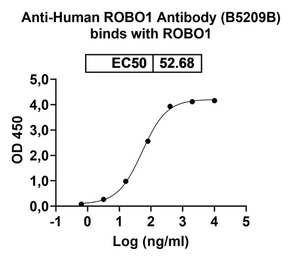 Anti-Human ROBO1 Recombinant Monoclonal Antibody (B5209B) - Bioactivity-binding