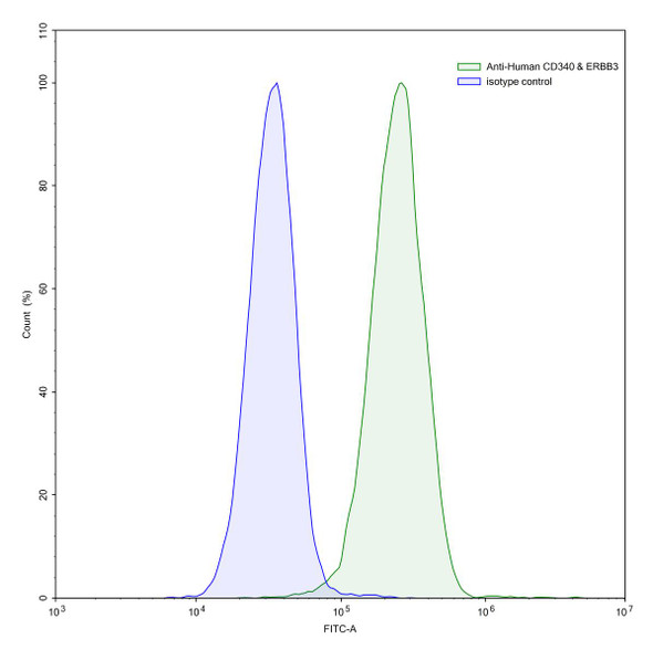 Anti-Human CD340/ERBB2/HER2 Recombinant Monoclonal Antibody (SAA2012) - flow