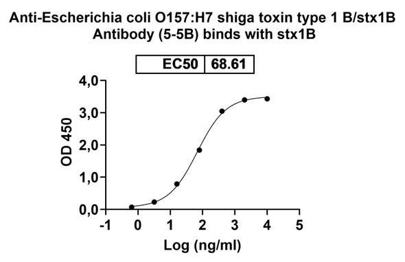 Anti-Escherichia coli O157:H7 shiga toxin type 1 B/stx1B Recombinant Monoclonal Antibody (5-5B) - Bioactivity-binding