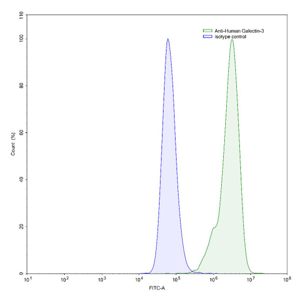 Anti-Human Gal3/Galectin-3 Recombinant Monoclonal Antibody (M3/38) - flow