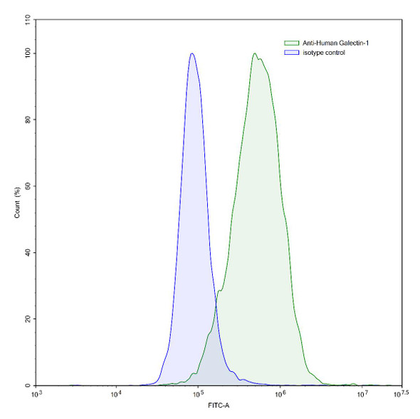 Anti-Human Gal1/LGALS1 Recombinant Monoclonal Antibody (8A12) - flow