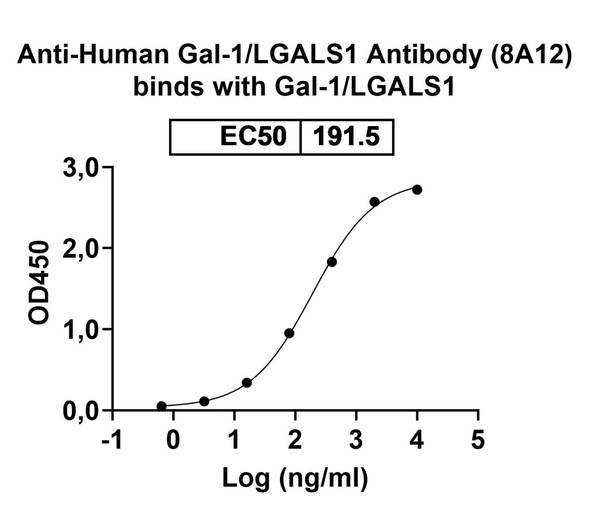 Anti-Human Gal1/LGALS1 Recombinant Monoclonal Antibody (8A12) - bioactivity-binding