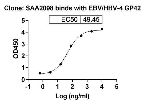 Anti-EBV/HHV-4 GP42/Glycoprotein 42 Recombinant Monoclonal Antibody (SAA2098) - bioactivity-binding