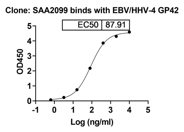 Anti-EBV/HHV-4 GP42/Glycoprotein 42 Recombinant Monoclonal Antibody (SAA2099) - bioactivity-binding
