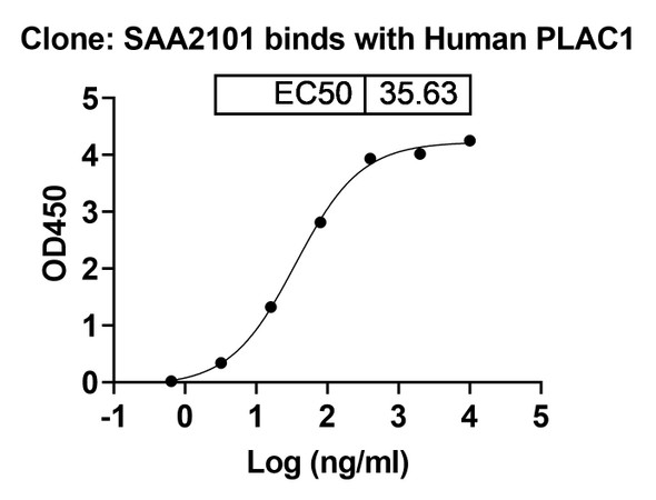 Anti-Human PLAC1 Recombinant Monoclonal Antibody (SAA2101) - bioactivity-binding