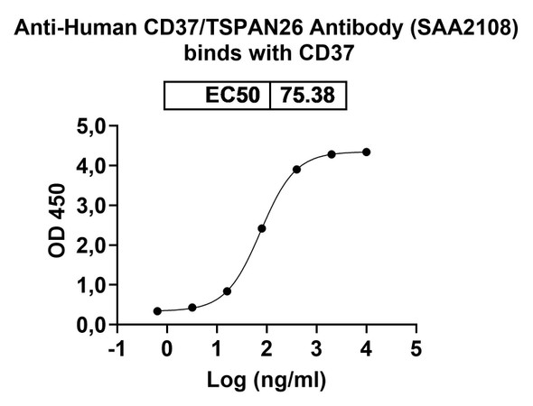 Anti-Human CD37/TSPAN26 Recombinant Monoclonal Antibody (SAA2108) - Bioactivity-binding