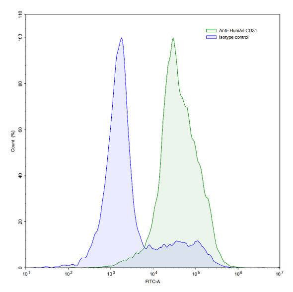 Anti-Human CD81 Recombinant Monoclonal Antibody (005-C01) - flow