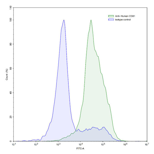 Anti-Human CD81 Recombinant Monoclonal Antibody (005-C01) - flow