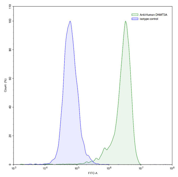 Anti-Human DNMT3A IP Recombinant Monoclonal Antibody (SAA0199) - flow
