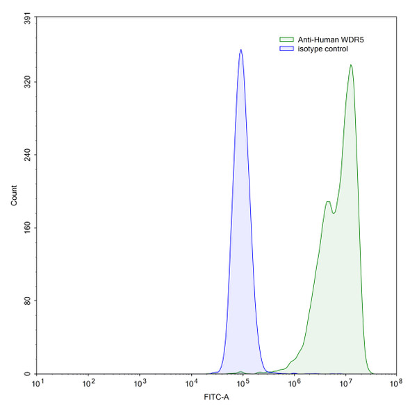 Anti-Human WDR5 IP Recombinant Monoclonal Antibody (SAA0239) - flow