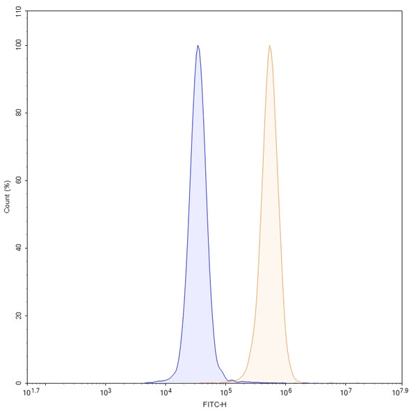 Anti-Human ZNF408 IP Recombinant Monoclonal Antibody (SAA0241) - flow