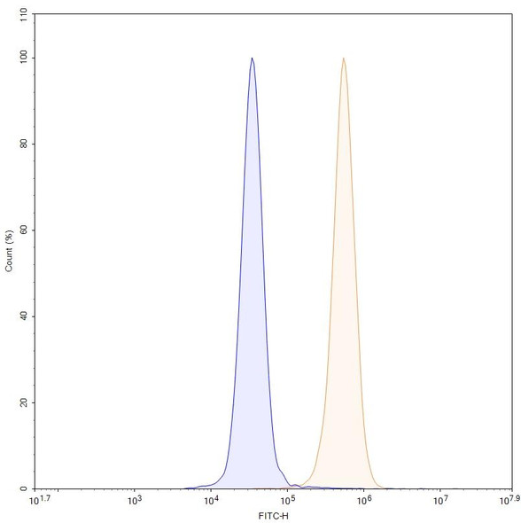 Anti-Human ZNF408 IP Recombinant Monoclonal Antibody (SAA0241) - flow