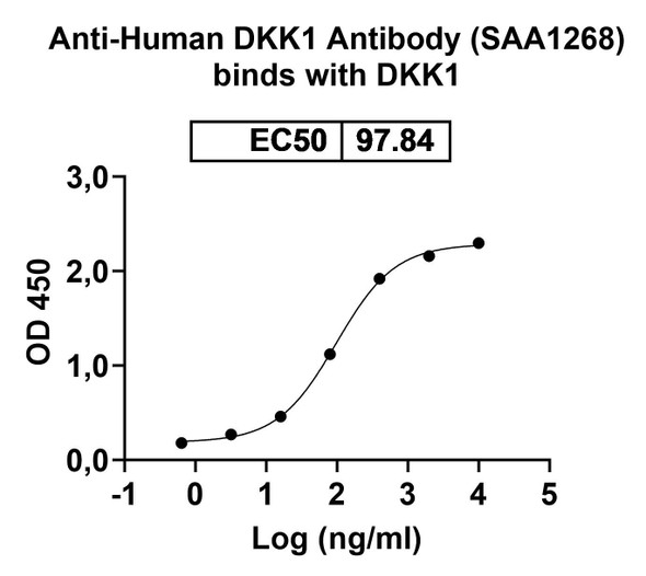 Anti-Human DKK1 Recombinant Monoclonal Antibody (SAA1268) - Bioactivity-binding