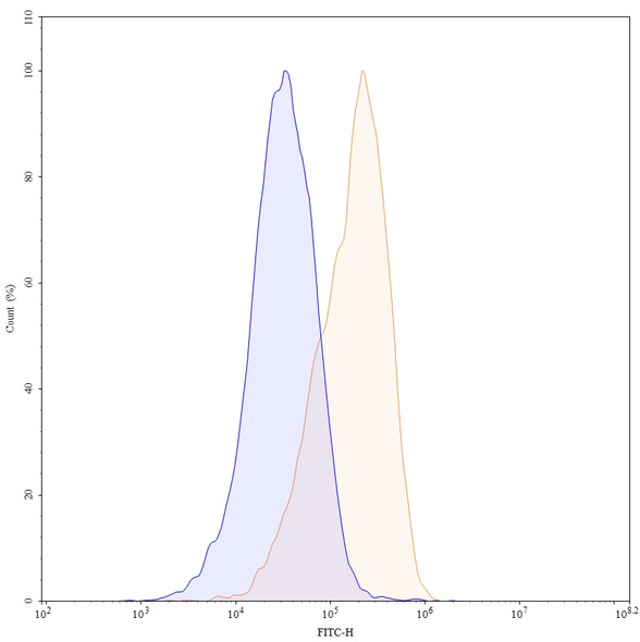 Anti-Human CD19 Recombinant Monoclonal Antibody (HB12B) - flow