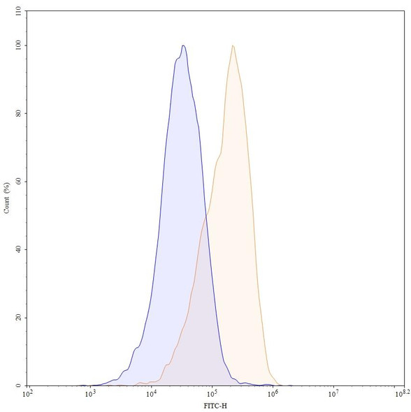 Anti-Human CD19 Recombinant Monoclonal Antibody (HB12B) - flow