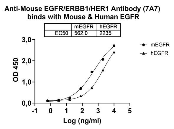 Anti-Mouse EGFR/ERBB1/HER1 Recombinant Monoclonal Antibody (7A7) - Bioactivity-binding