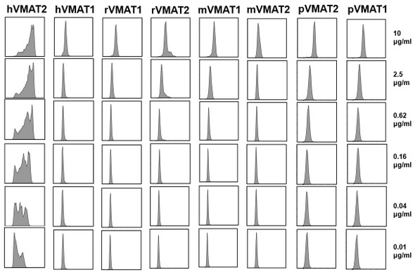Anti-Human VMAT2 Recombinant Monoclonal Antibody (JP0514) - flow