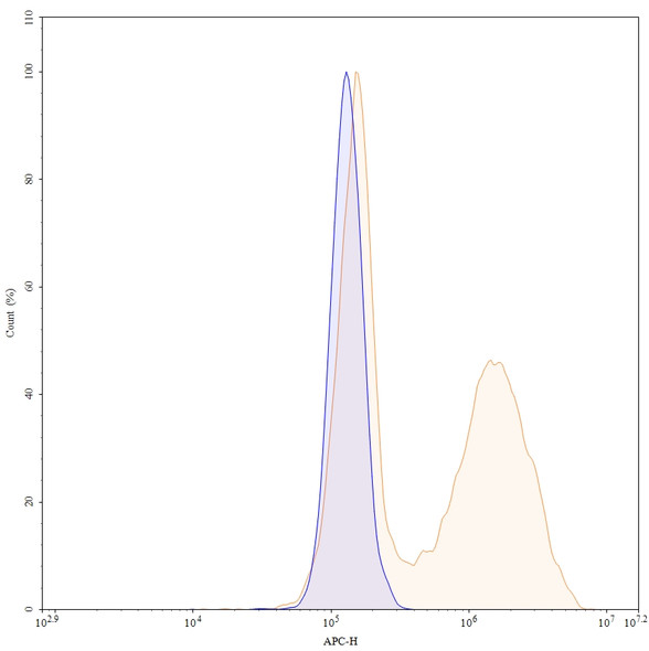 Anti-GRIN1/NMDAR1 Recombinant Monoclonal Antibody (ART5803) - flow