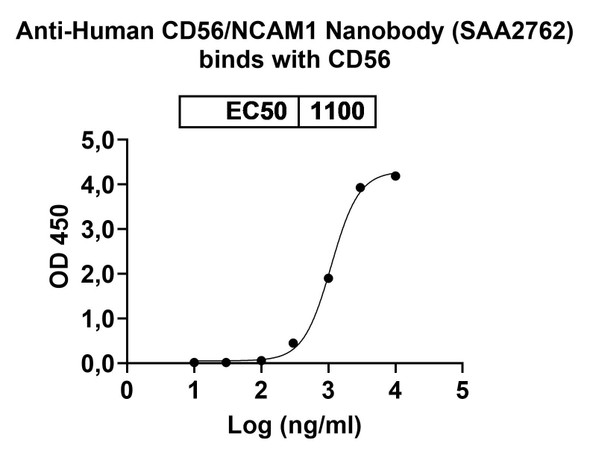 Anti-Human CD56/NCAM1 Recombinant Nanobody (SAA2762) - Bioactivity-binding