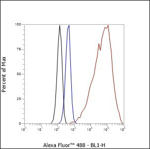 Recombinant ALOX15 Monoclonal Antibody (AGEL6361)