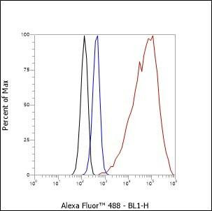 Recombinant ALOX15 Monoclonal Antibody (AGEL6361)
