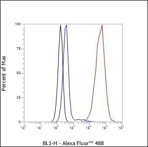 Recombinant alpha smooth muscle Actin Monoclonal Antibody (AGEL6364)