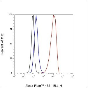 Recombinant beta-2 Adrenergic Receptor Monoclonal Antibody (AGEL6374)