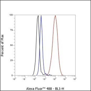 Recombinant CD13 Monoclonal Antibody (AGEL6390)