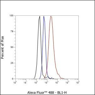 Recombinant CD15/SSEA1 Monoclonal Antibody (AGEL6393)