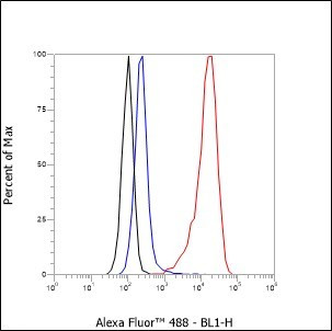 Recombinant CD79b Monoclonal Antibody (AGEL6416)