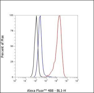 Recombinant CD79b Monoclonal Antibody (AGEL6416)
