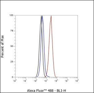 Recombinant Cleaved PARP1 p85 Monoclonal Antibody (AGEL6424)