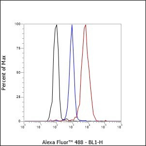 Recombinant FASN Monoclonal Antibody (AGEL6449)