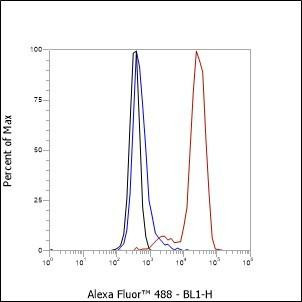 Recombinant Glycophorin A Monoclonal Antibody (AGEL6461)