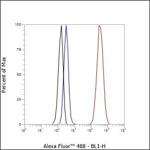 Recombinant GPNMB Monoclonal Antibody (AGEL6469)