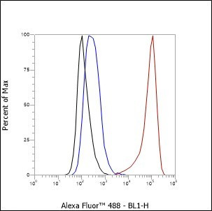 Recombinant IL-12 Monoclonal Antibody (AGEL6492)