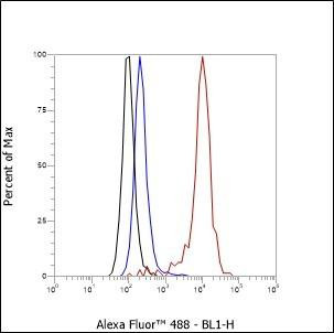 Recombinant Laminin beta 1 Monoclonal Antibody (AGEL6513)