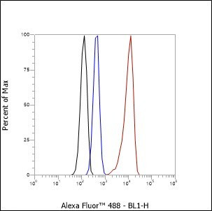 Recombinant Myosin Light Chain 3 Monoclonal Antibody (AGEL6535)