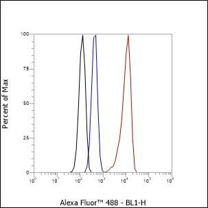 Recombinant Myosin Light Chain 3 Monoclonal Antibody (AGEL6535)