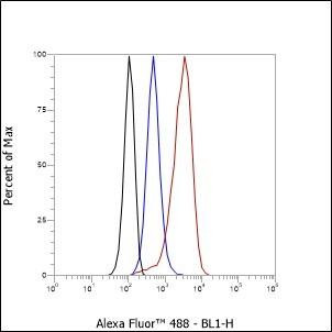 Recombinant PITX2/RGS Monoclonal Antibody (AGEL6559)